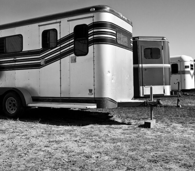 Vintage horse trailers lined up in a grassy area, captured in black and white for a nostalgic effect.